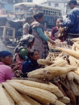 Reis Yamin Verschure - India-2001
