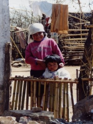 Reis Yamin Verschure - India-2001